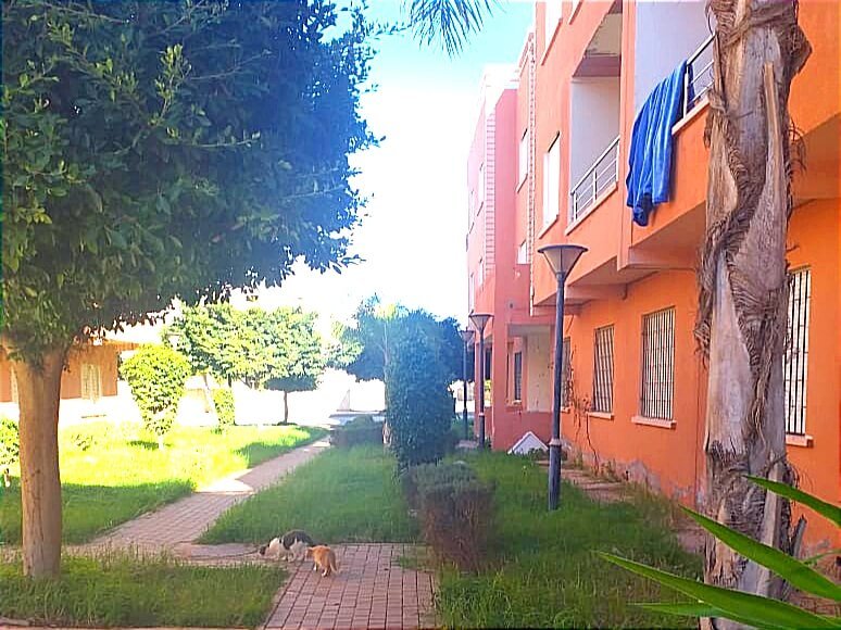 appartement à vendre à saidia