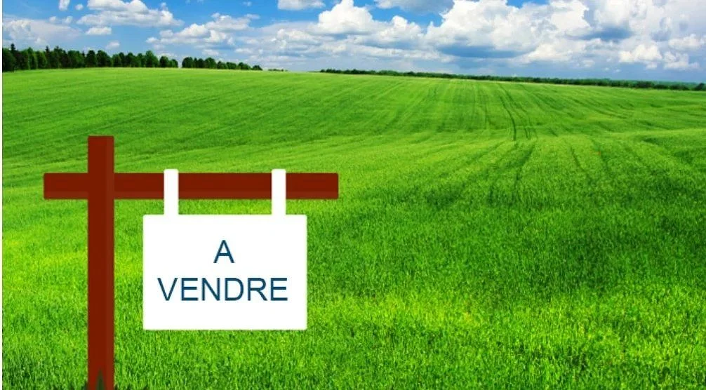 Opportunité de lots de terrain à partir de 1000M2