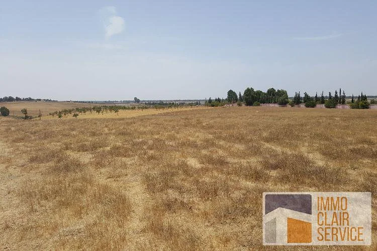 أرض للبيع في الرباط