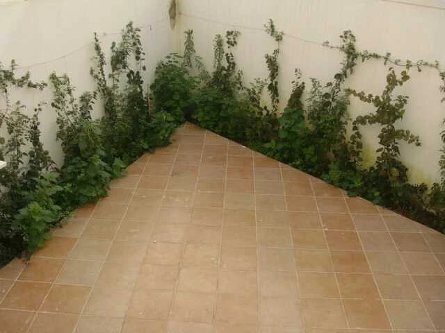 Gemeubeld Appartement met Balkon in Bouznika