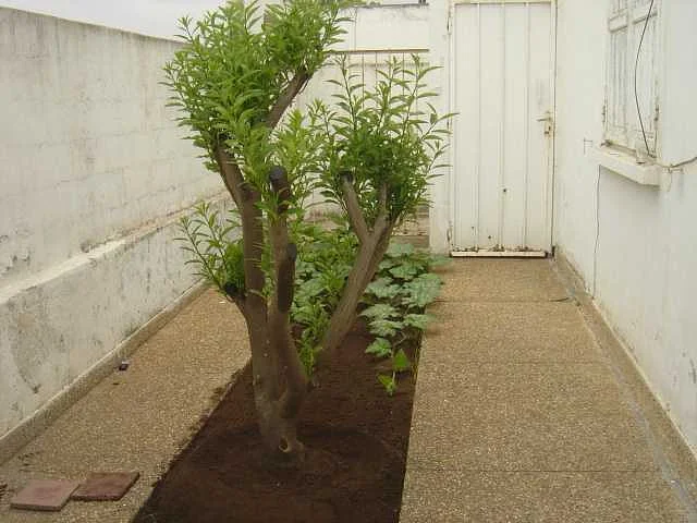 Te renoveren villa in het hart van Rabat