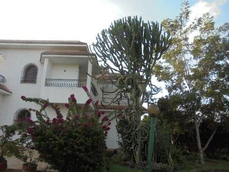 Charmante villa met Beldi hamam in Rabat