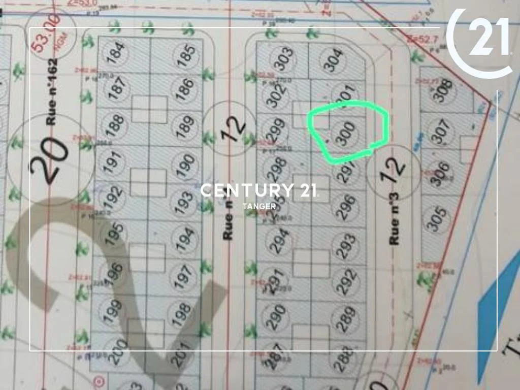 قطعة أرض - ابن بطوطة