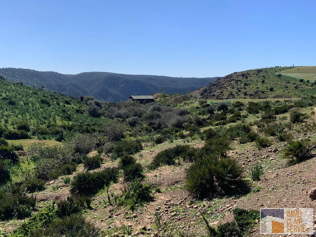 أرض زراعية في تيفلت