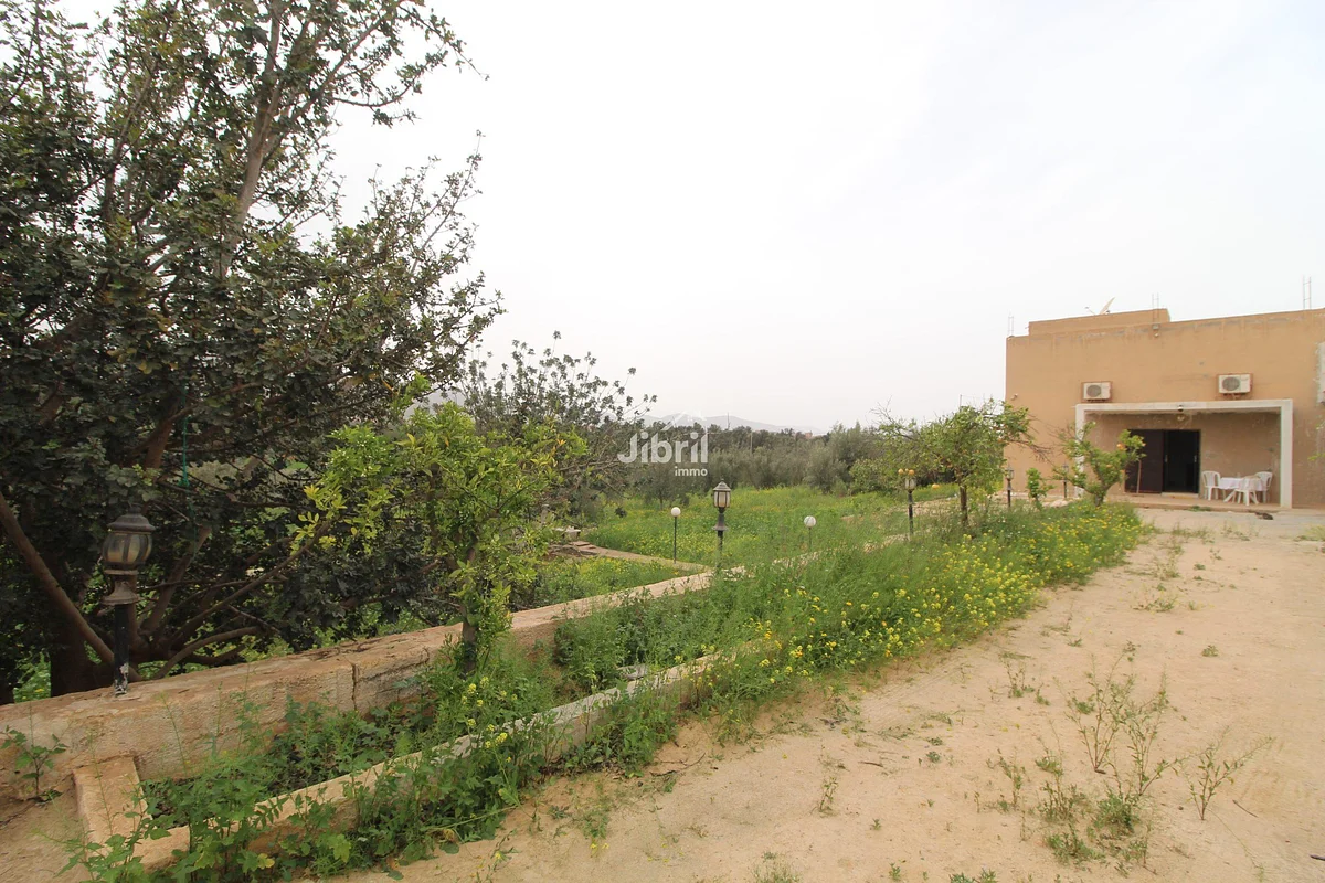 Propriété avec maison et terrain arboré à vendre près de Tiznit