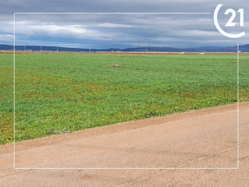 أرض - مولاي يعقوب