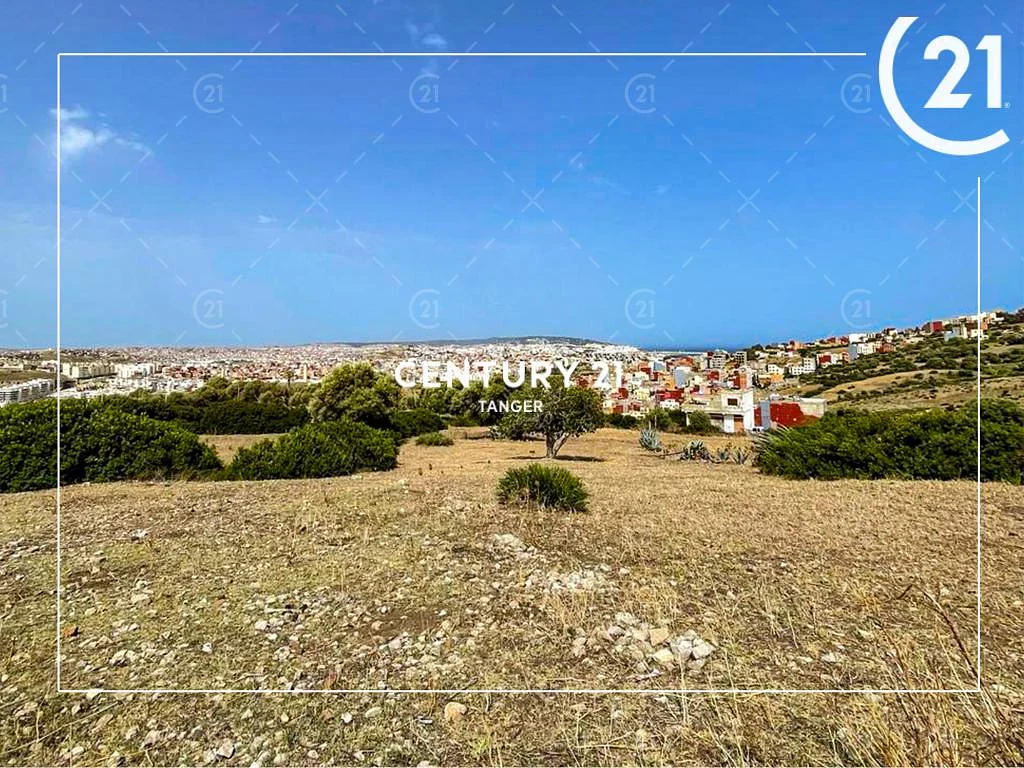 Perceel - Tanja Balia