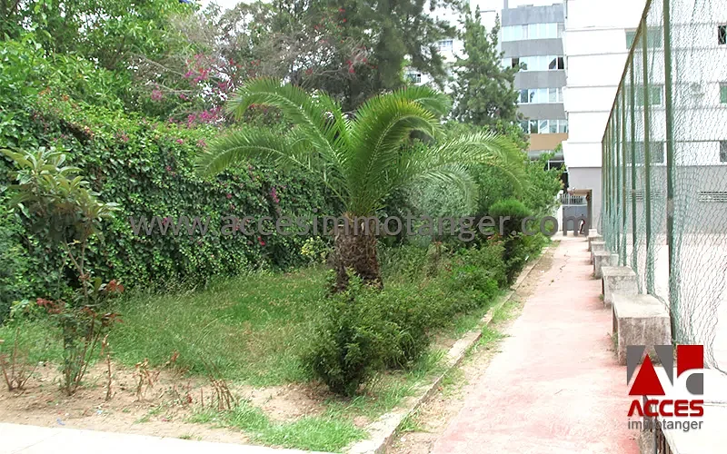 Agence immobilière Tanger