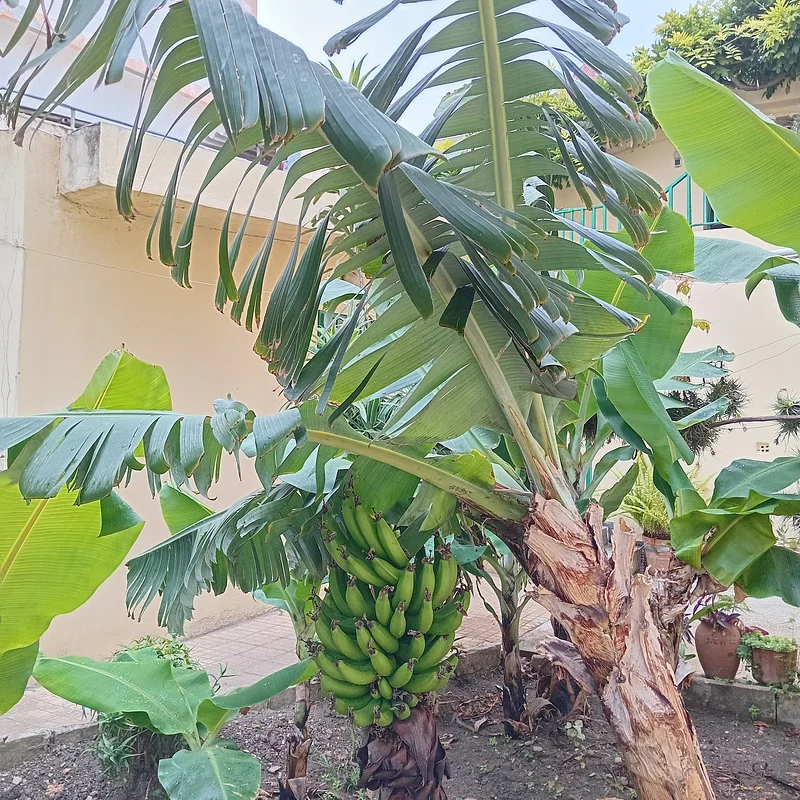 VILLA INDEPENDANTE A VENDRE A TANGER SURFACE 465m² / REFERENCE: VTAA1527