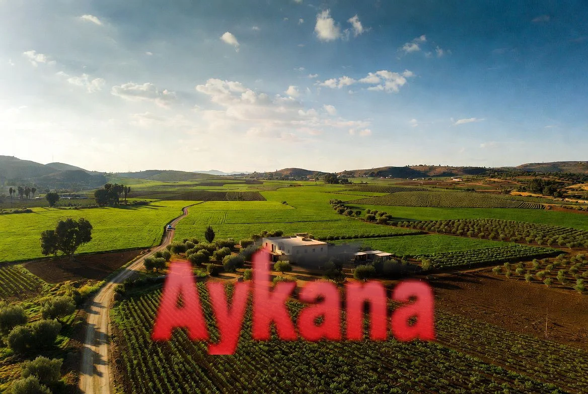 Bijzondere Boerderij te Koop in Ain El Aouda Nkheila