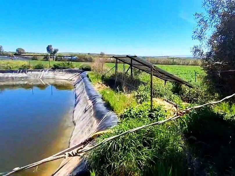 Terrain agricole titré 2,5 hectares | Entre Berkane et Saïdia