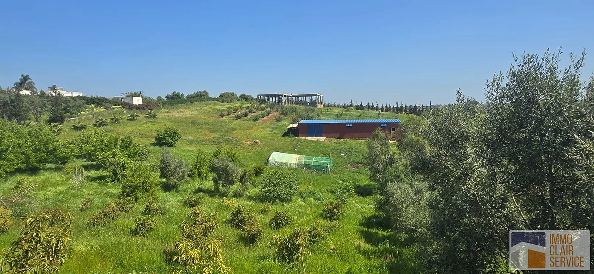 Agrarisch terrein met waterput in Salé