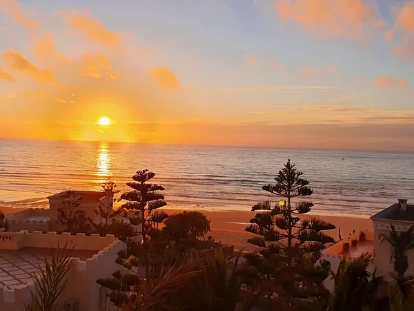 Single-Storey Villas with Private Pool and Beach Access