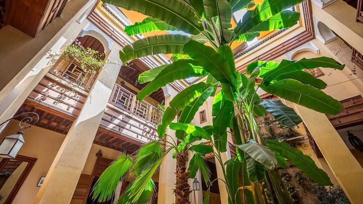 Riad Damanos
