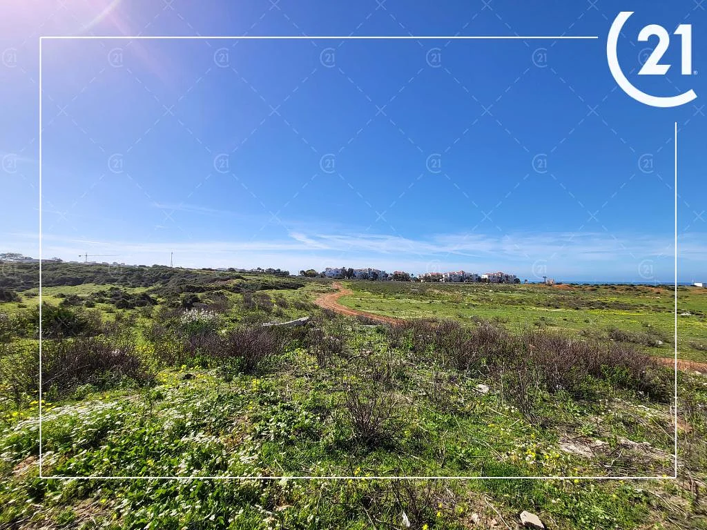 أرض – أشقار