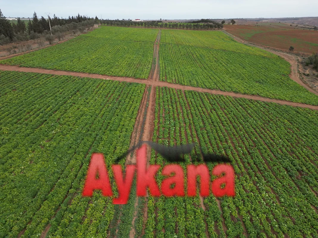 🌿 بيع مزرعة استثنائية في بنسليمان REF 4143