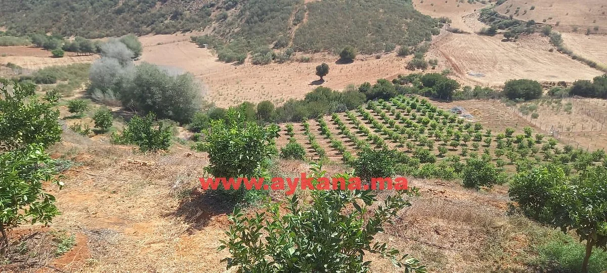 Te koop: Boerderij in Allal Al Bahraoui REF 3095