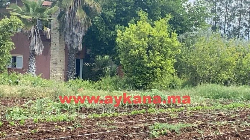 بيع مزرعة في براشوا على طريق الزعر