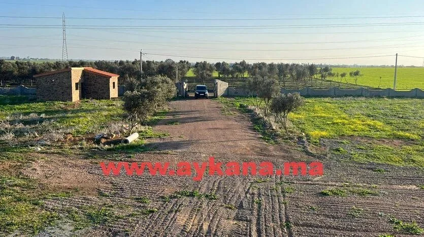 Te koop: Prachtige boerderij in Benslimane