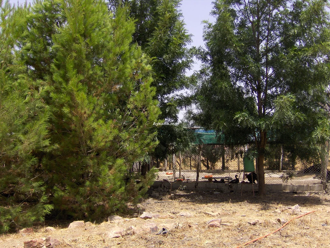 Vente Ferme Benslimane REF 706