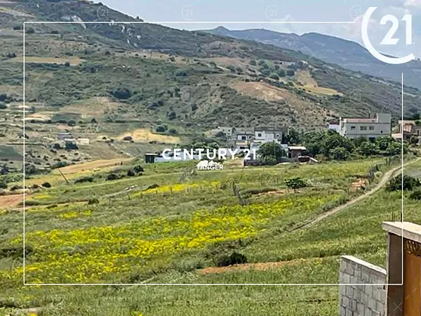 Perceel – Sidi Kankouch