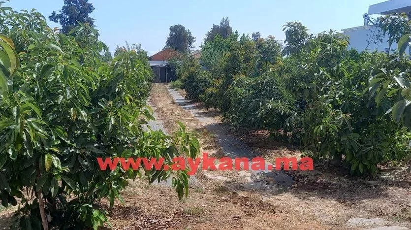 Te Koop Villa El Menzeh met Zwembad en Tuin