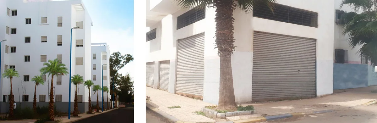 عين الحياة - 2