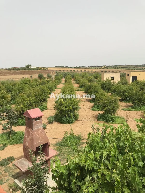 مزرعة للبيع في خميسات