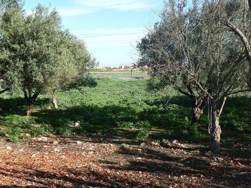 Terrain à vendre à Fès (route Meknès)