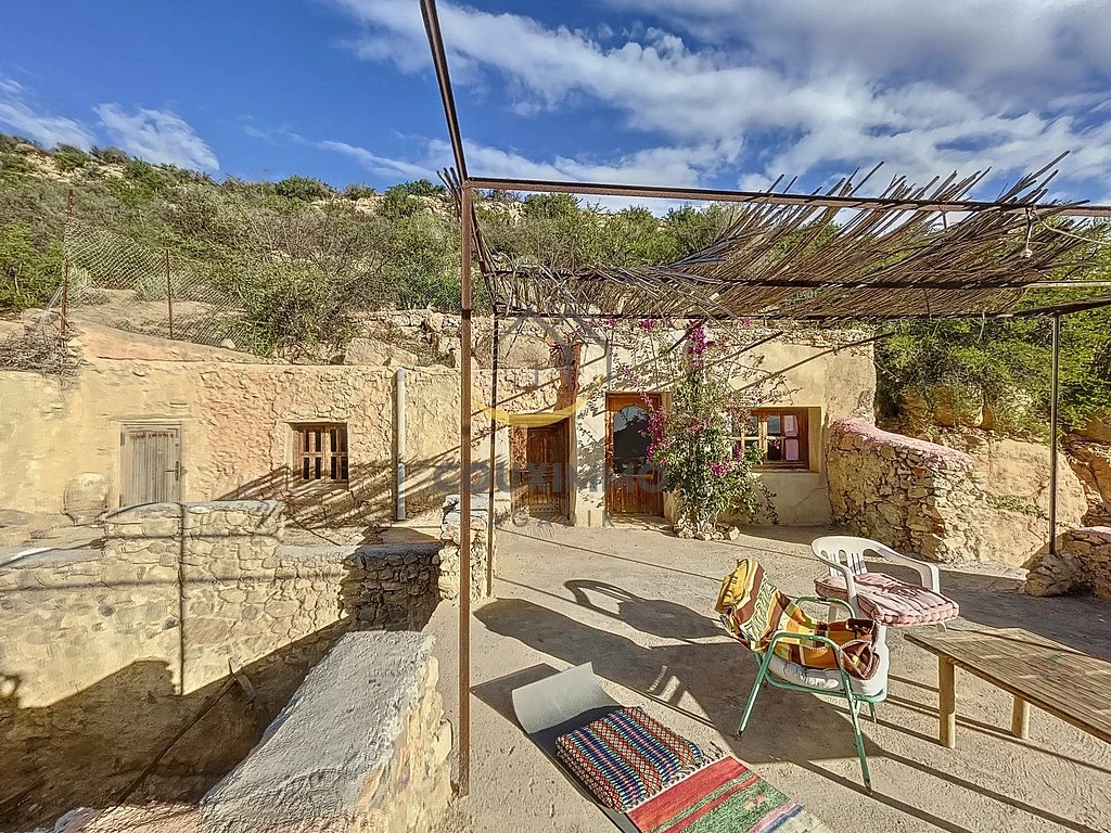 Surprenant troglodyte - Ref. R212