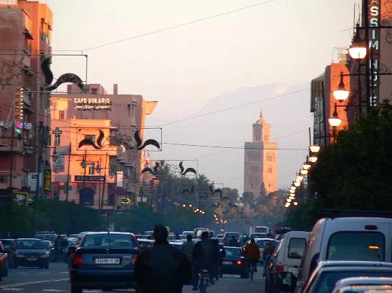 Commercieel pand | avenue Mohamed V | 5.000.000 MAD