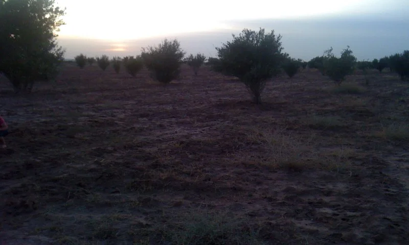 Terrain TitrÃ© 5.43Ha | Rte Fes km16 | Puit