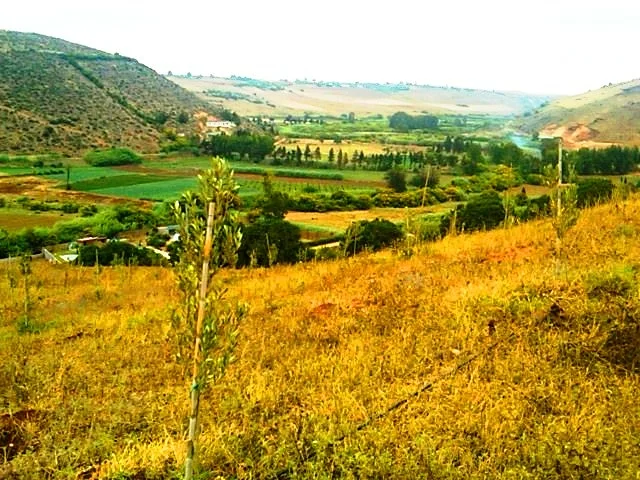 Grond van 2,4 Ha met Titre in Sidi Ben Moussa - Casablanca