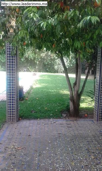 Rabat quartier Souissi la pinéde; Location villa 1200 m²