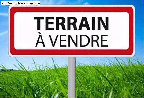 Casablanca  Ouled Saleh A vendre Terrain 2500 m²