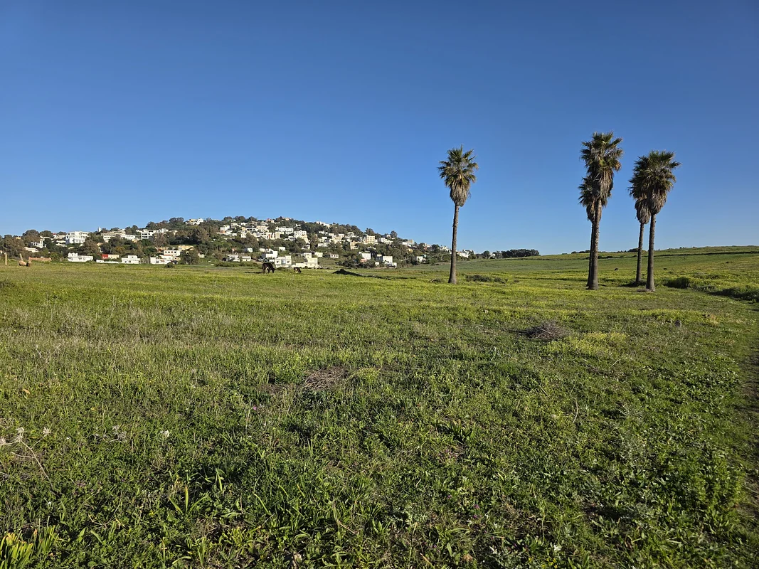 TERRAIN A VENDRE – JBILAT