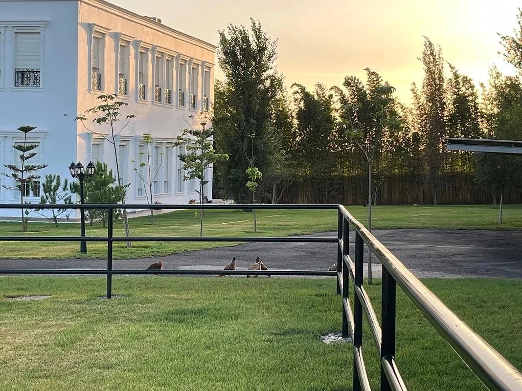 دومين الأراضي الثلاثة