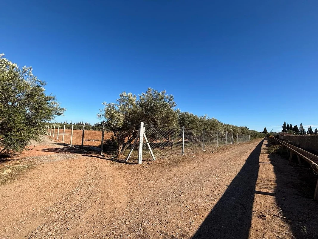 أرض زراعية للبيع في الناظور