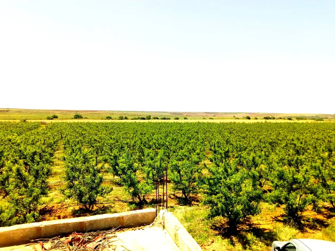 Ferme à vendre Région de MEKNES