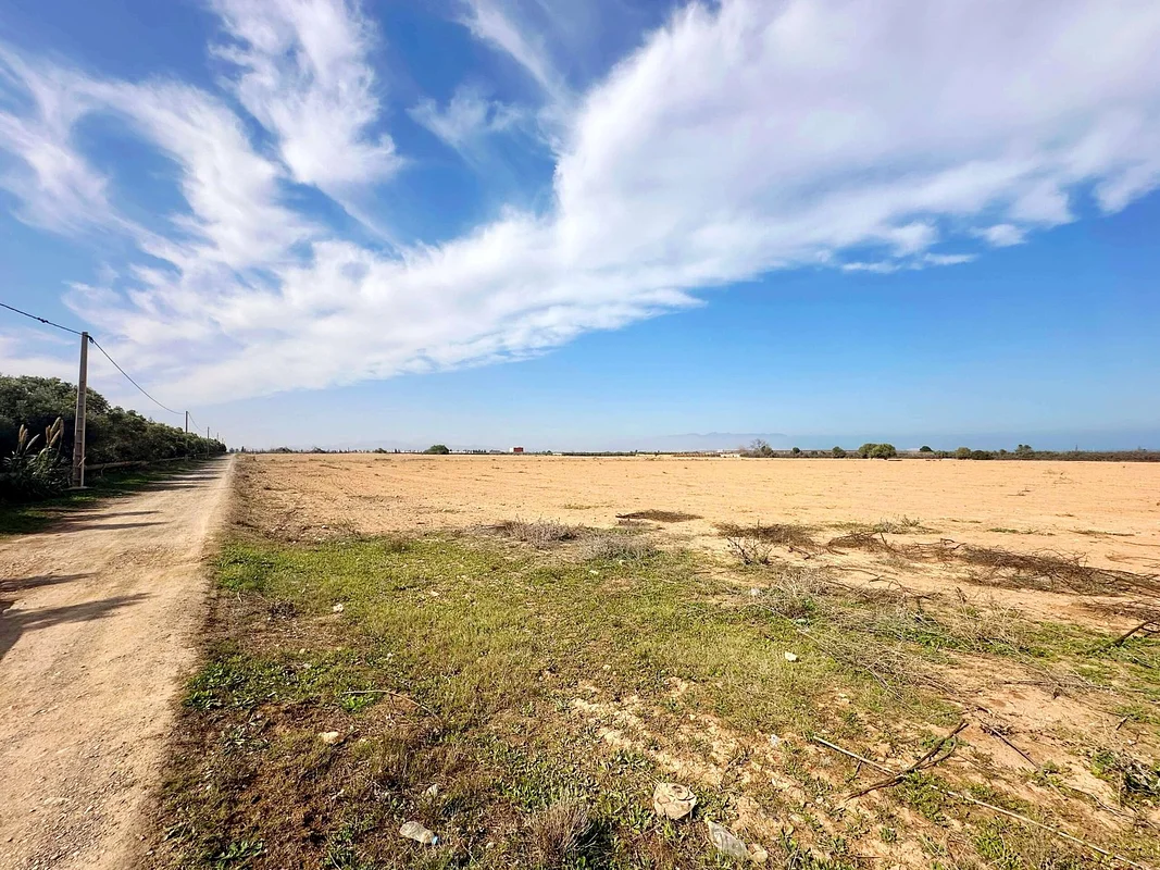 Agrarisch Land Te Koop BOUAARG - NADOR