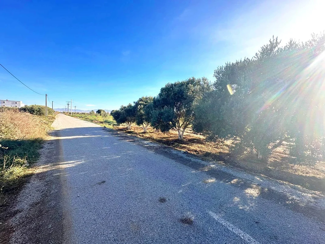 أرض للبيع في بوعارج - الناظور