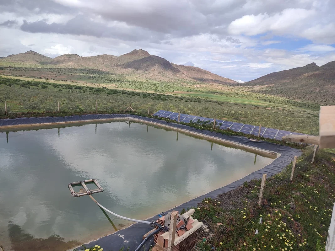 أرض للبيع 5 هكتارات في الناظور