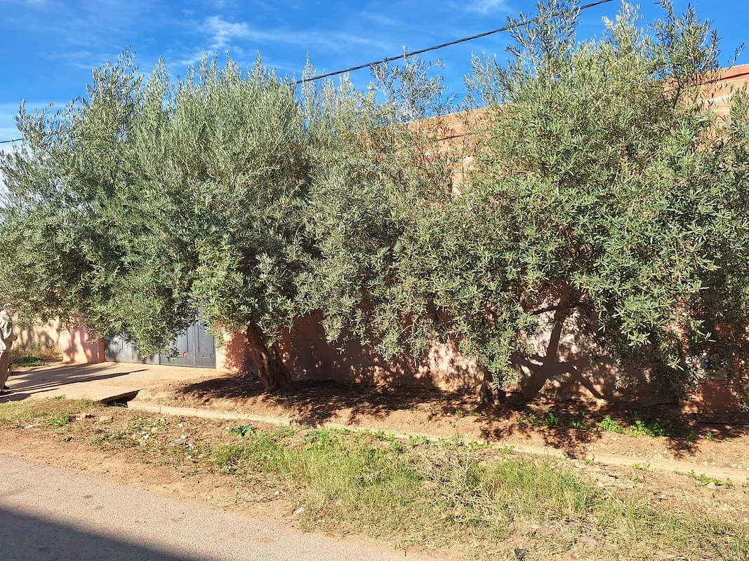 Te Koop: Volledig Ingerichte Boerderij in Berkane