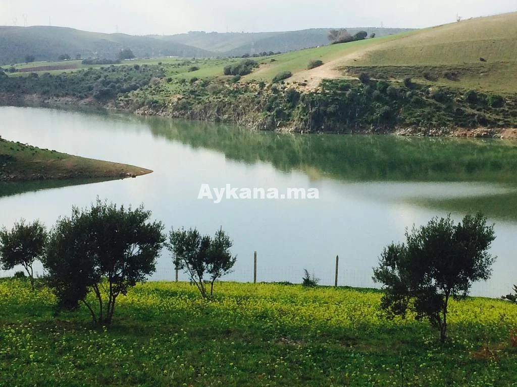 Vente Terrain Salé Essehoul 21099