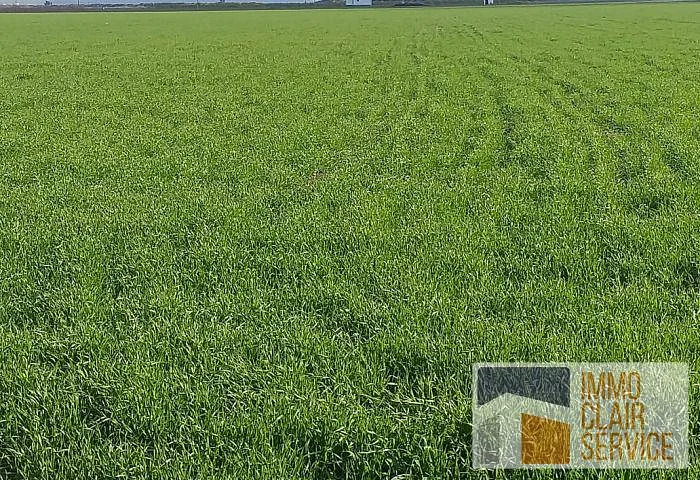 Terrain agricole - Terrain - Sidi Slimane