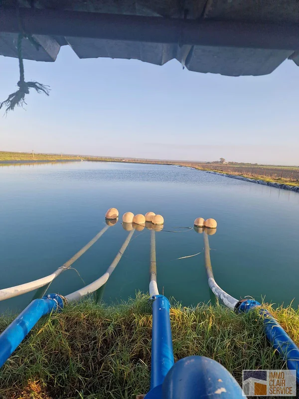 Agricultural Land with Irrigation System in Sidi Kacem