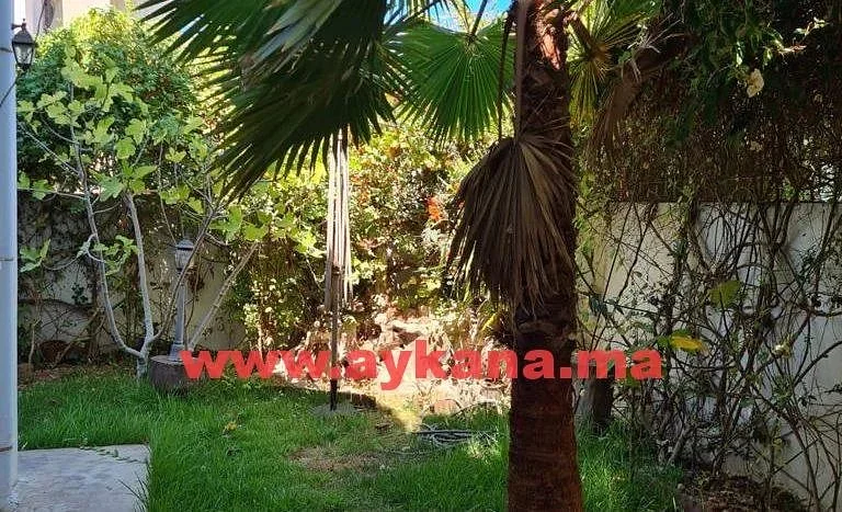 Te Huur Villa Tamesna met Tuin en Centrale Locatie