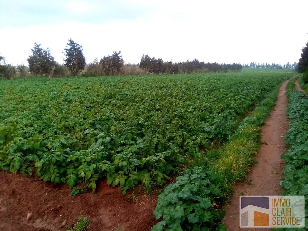 Land te koop in Mohammedia