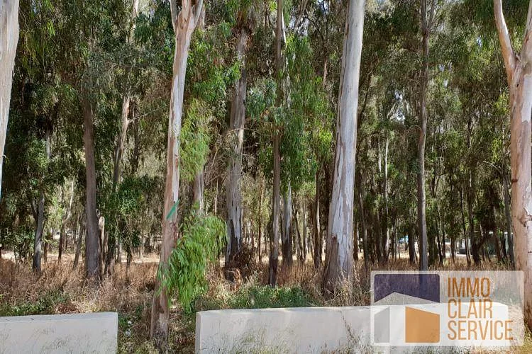 Te koop: Villa in hoog Agdal met uitgestrekt terrein