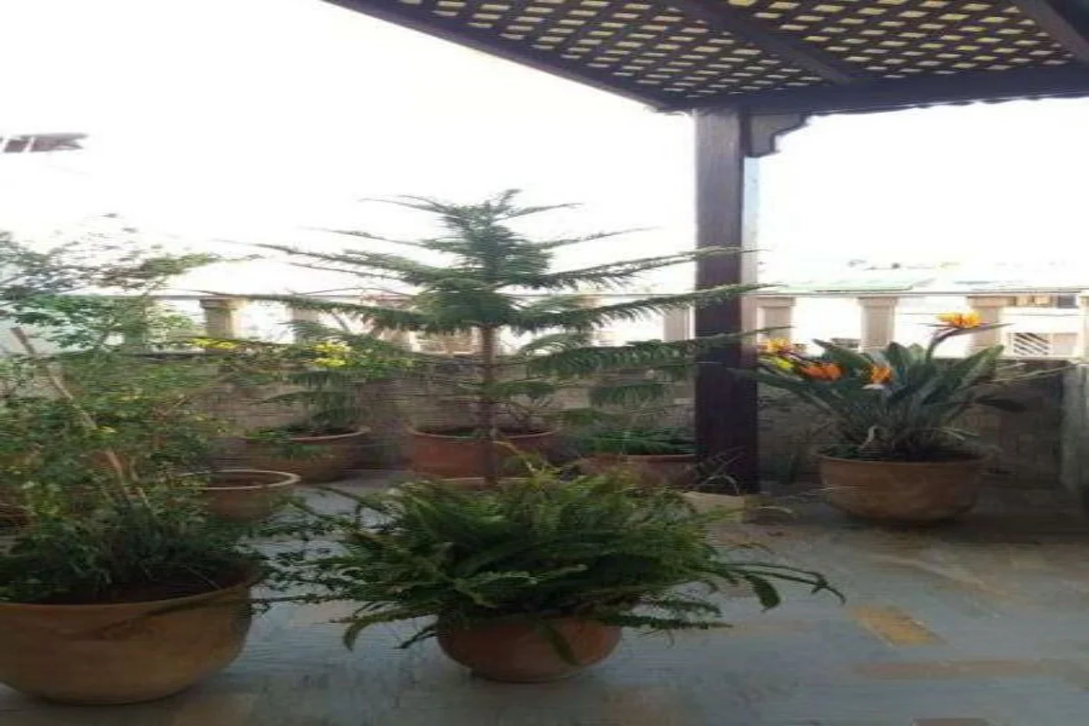 Appartement meublé - Habitation - Rabat